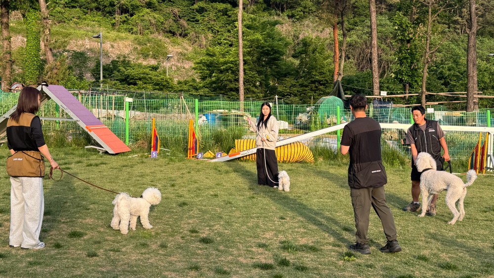 클럽 훈련 사진 2