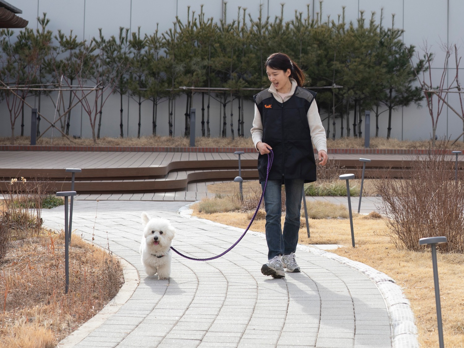 도심 공원에서 함께 걷는 보호자와 반려견