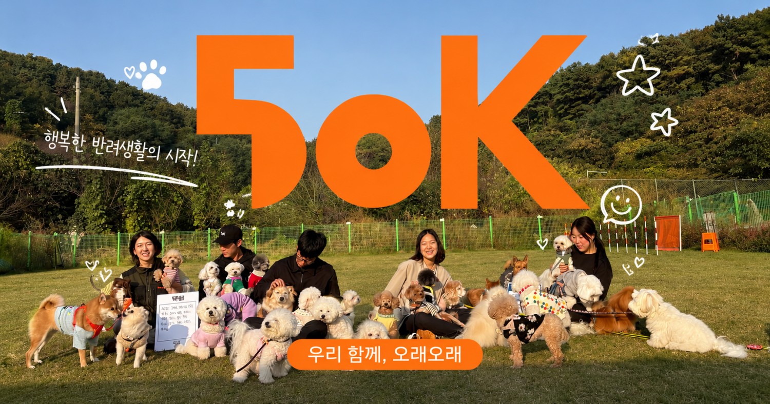 오십케이 커뮤니티