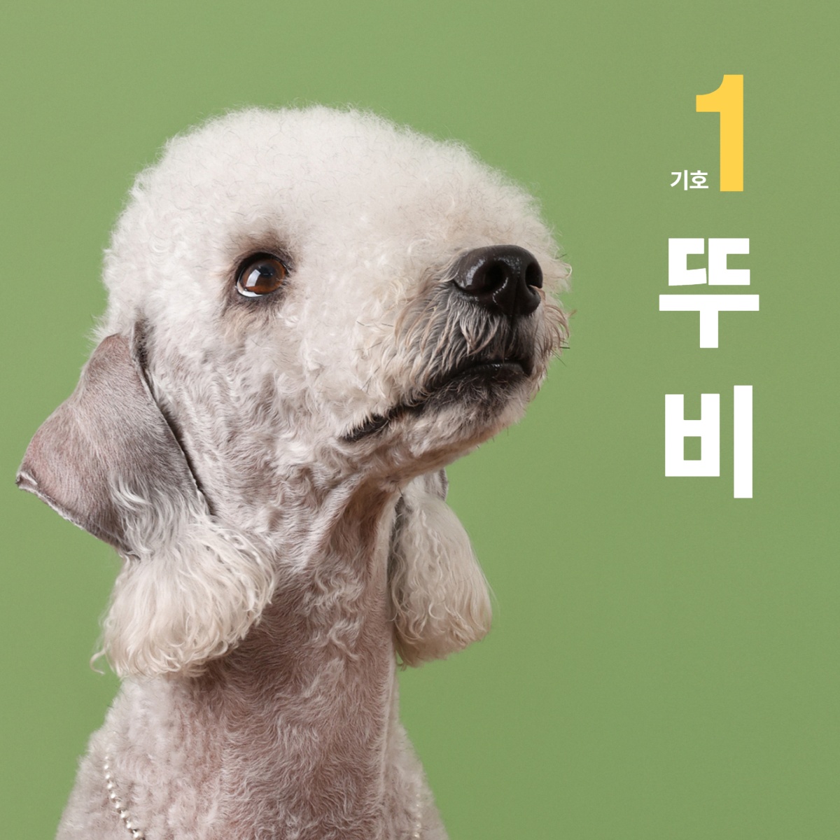  선거