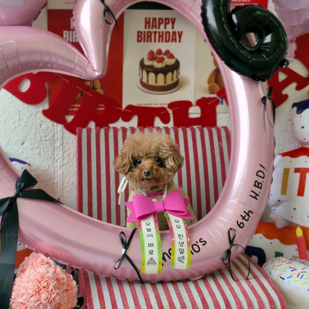 생일파티
