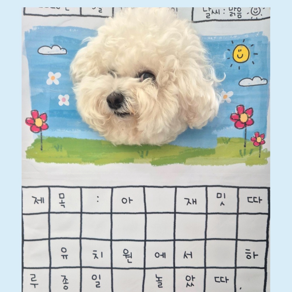 그외활동